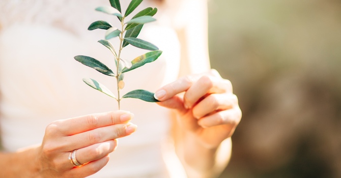 Anxiety Counselling in Vernon: How Professional Support Helps You Find Calm image